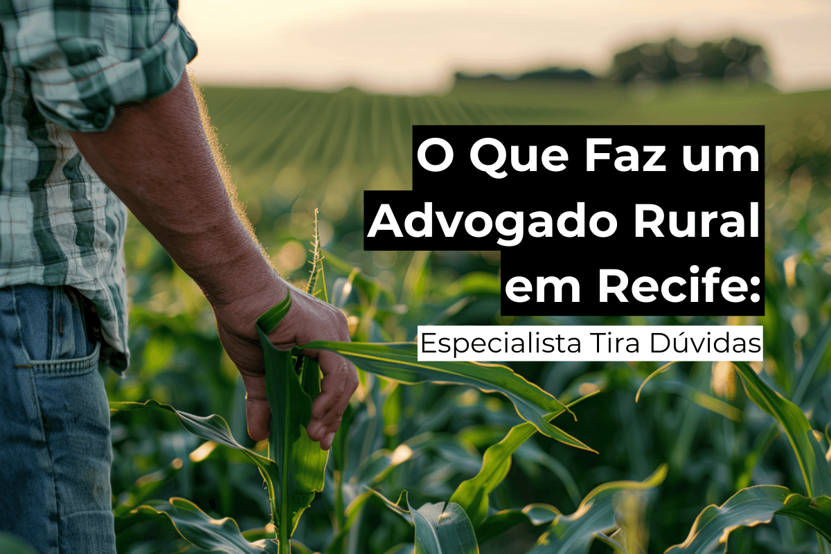 O Que Faz um Advogado Rural em Recife: Especialista Tira Dúvidas