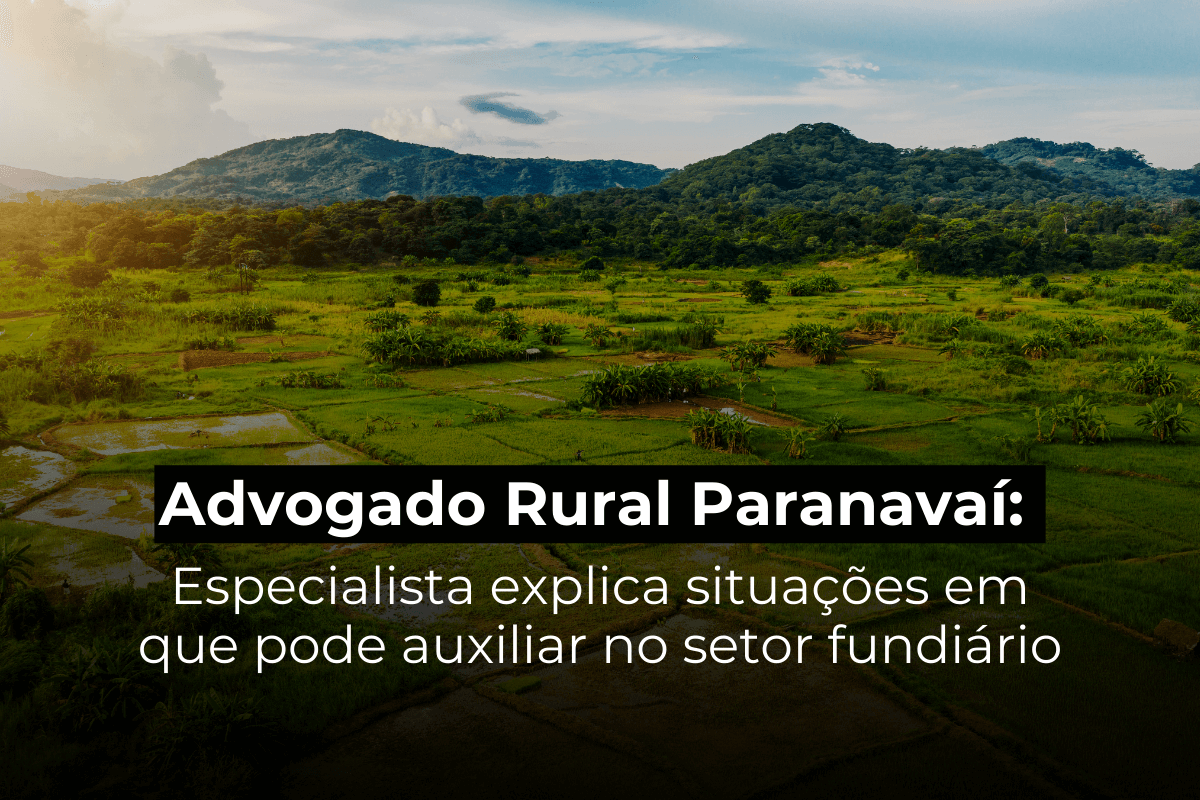 Advogado Rural Paranavaí: Especialista Explica Situações em que Pode Auxiliar no Setor Fundiário