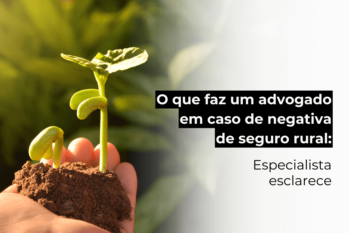 Advogado Rural Campinas Esclarece: O Que Faz um Advogado em Negativa de Seguro Rural