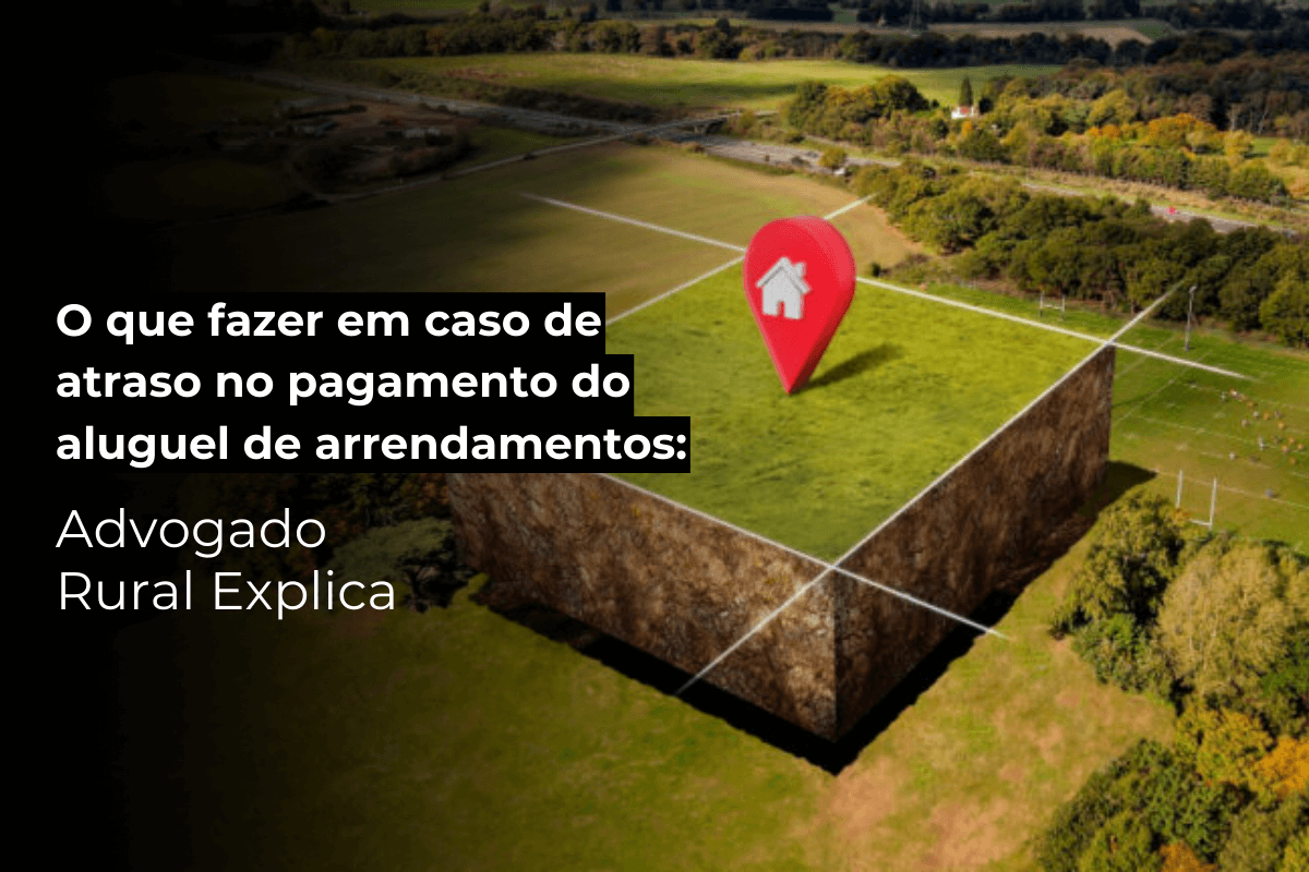 Advogado Rural Salvador Explica: O Que Fazer em Atrasos no Aluguel de Arrendamentos