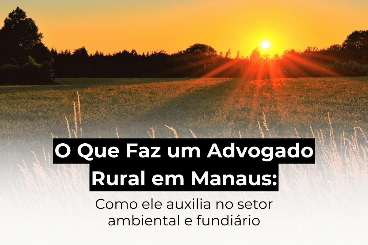 O Que Faz um Advogado Rural em Manaus: Como Ele Auxilia no Setor Ambiental e Fundiário